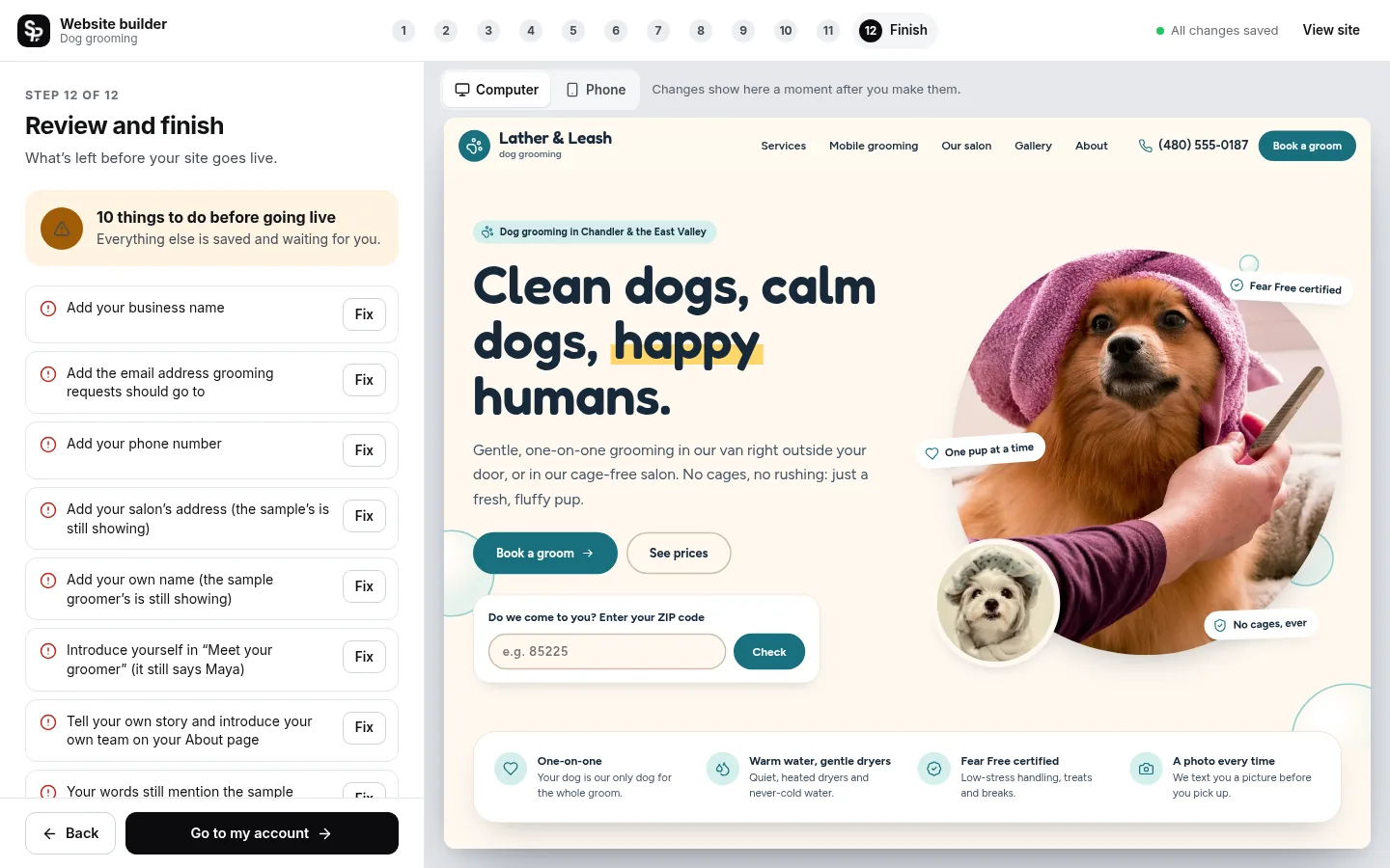 The builder at the “Check it and go live” step: the editing panel on the left and a live preview of the site on the right