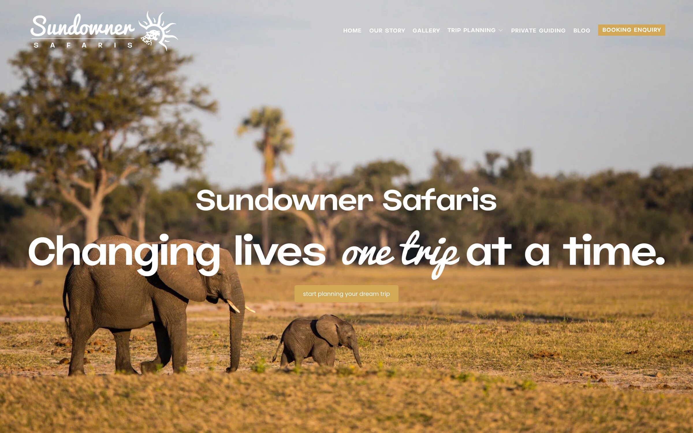 Sundowner Safaris Home, with the hero, a start planning call to action and six featured trip cards.